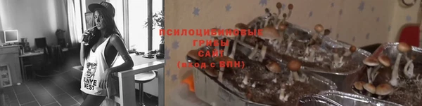 ГАЛЛЮЦИНОГЕННЫЕ ГРИБЫ Мегион